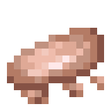 Duck Fillet.png: Infobox image for Duck Fillet the item in Minecraft