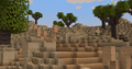 Dunes biome.