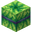 Aloe Bundle.png