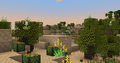 Flourishing dunes biome.