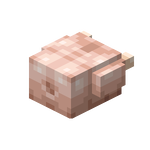 Raw Turkey.png: Infobox image for Raw Turkey the block in Minecraft